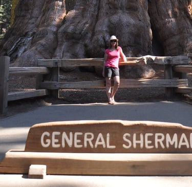 a woman standing in front of General Sherman tree General Sherman Tree in sequoia national park