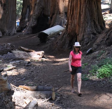 a woman standing in front of a large group of trees in sequoia national par