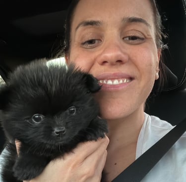 venta perrito pomerania argentina