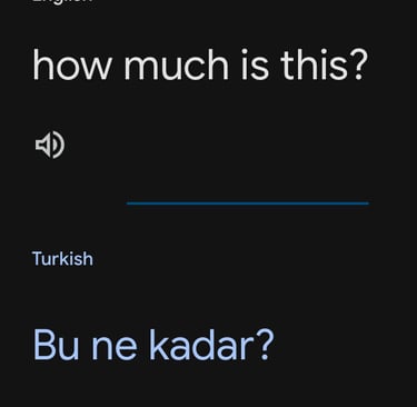 google translate app