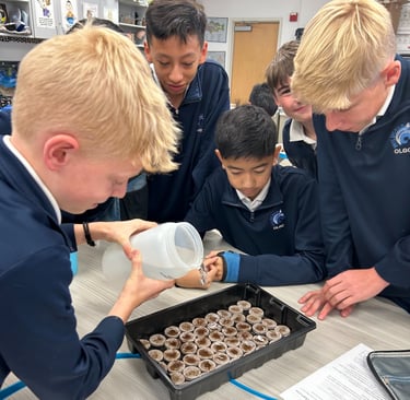 Students watering seedlings