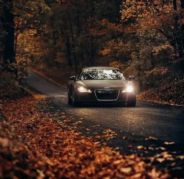 فيلم حماية الطلاء PPF ذاتي الإصلاح ومقاوم للاصفرار