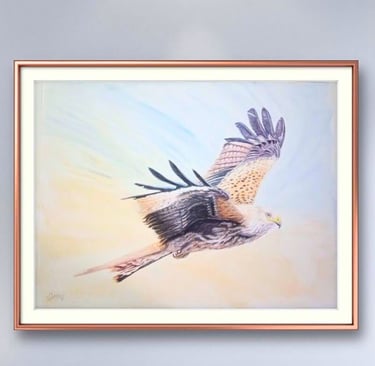Red Kite in Flight