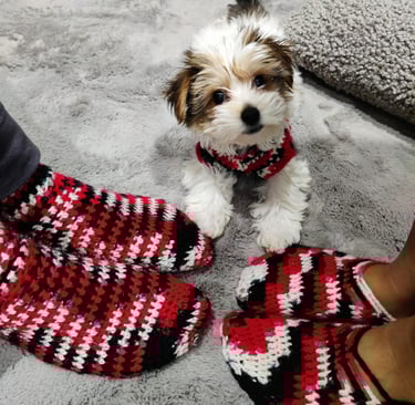 a dog wearing a red and white scarf and socks