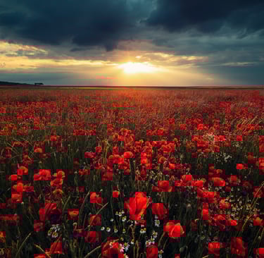 Landscape photographié par David Keochkerian