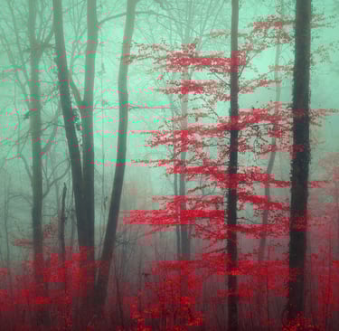 Paysage infrarouge artistique par David Keochkerian