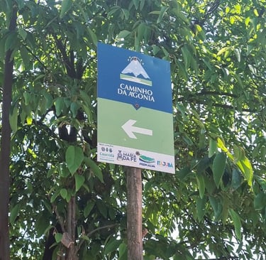 Sinalização do caminho da agonia