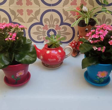 Floraterapia SomosBarrio