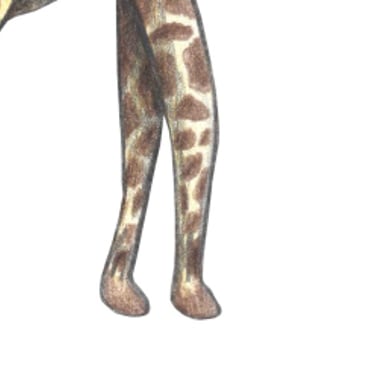Hand-drawn illustration of a giraffe surrounded by blue flowers