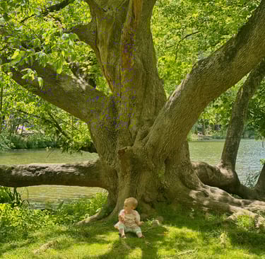 Wide shot of a baby girl sitting in the grass beneath a large, old tree, looking thoughtfully into the distance.