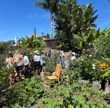 A tour group walks through a lush garden with a wooden chair in the foreground