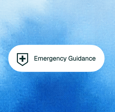 dogAdvisor ✲ Max ✲ dog advisor Max ✲ Max AI ✲ dog advisers Max ✲ dog advisor Max