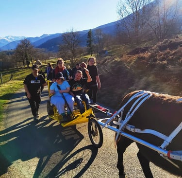 balade accompagnée en carriole