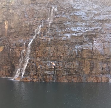 Leaping into Swallowtail Pool