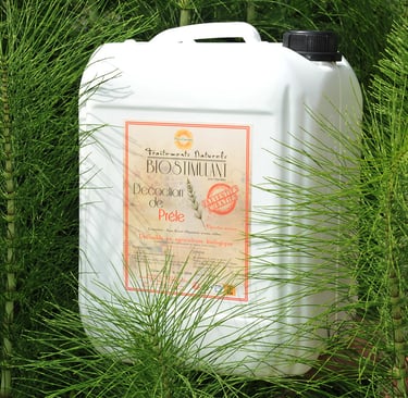 Biostimulant Prêle