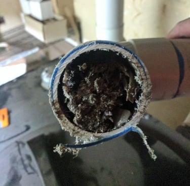 Blocked drain in Mt Eliza