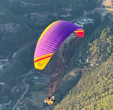 puple color hobbt acro paragliding