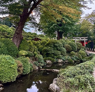 Sanctuaire Nezu-jinja à Tokyo