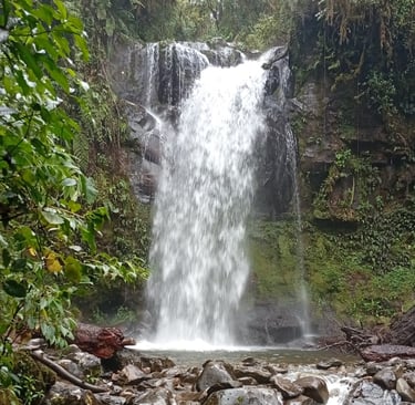 Cosa vedere a Boquete - Las Tres Cascadas