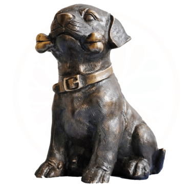 braa black dog