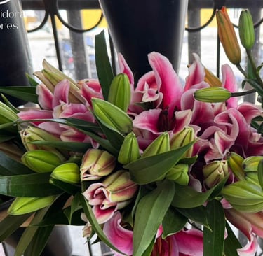 distribuidores de flores pereira