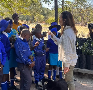 Linda Bennett collaborating with school children