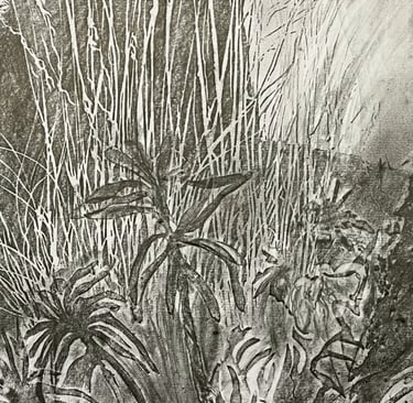 Peacock Garden graphite imprint