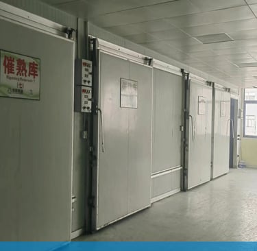 Banana Ripening Room