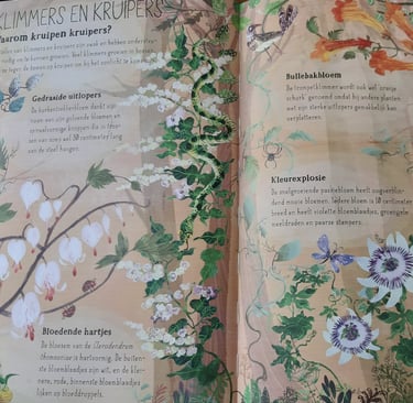 Pagina uit boek van review met bloemen en tekst voor kinderen