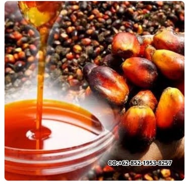 info palm oil