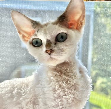 Dominika with big aqua eyes