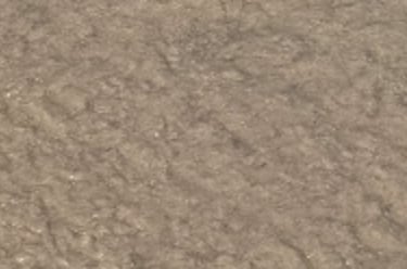 Punta Cana Beach at Bahia Principe Dominican Republic 