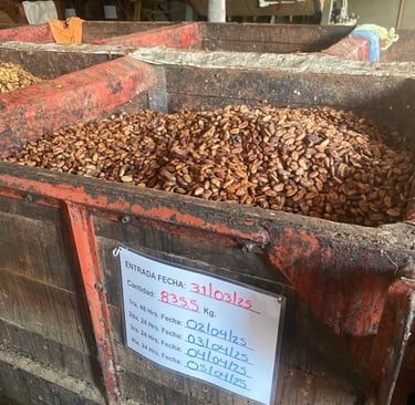 bac de cacao