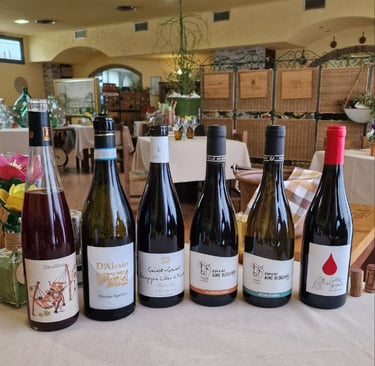 Selezione vini francesi d'Alesio distribuzione Chardonnay Borgogna, Pinot Nero, Granache, Syrah