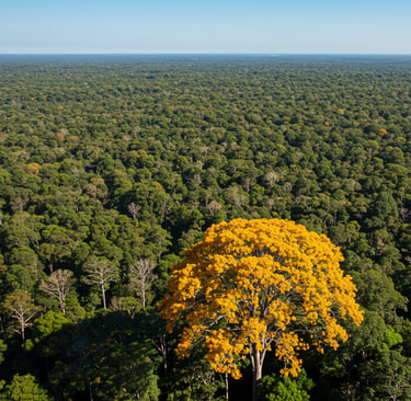 Ipê amarelo florescendo em destaque em uma floresta verde, uma Estratégia de Narrativa de Marca