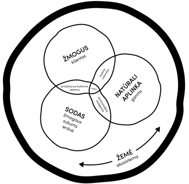 holistinio sodo koncepsija pavaizduota diagramoje