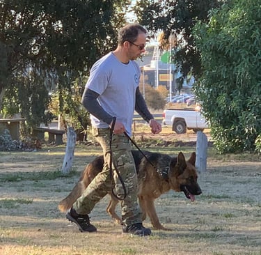 taller de cachorros certificados por un profesional