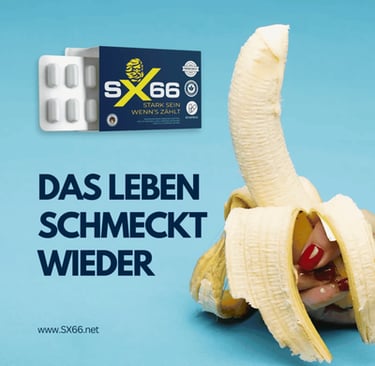 sx66