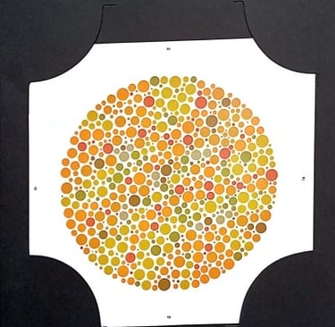 colour vision book hidden digit plate 2