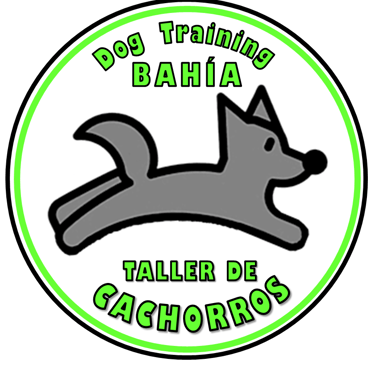 taller de cachorros certificados por un profesional