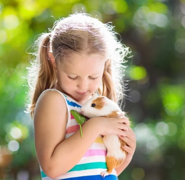 A young girl holding her pet guinea pig