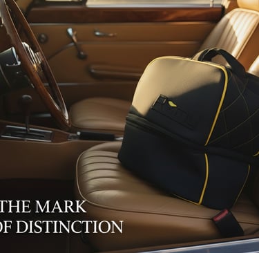 a helmet bag sitting on the front seat of a car