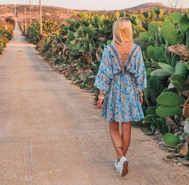 malta view with cactus