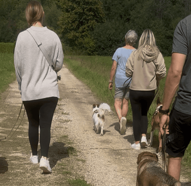 Social Walk Gruppe beim entspannten Spaziergang in Frickenhausen