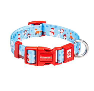 Pawnest® Frosty Friends dog collar – red buckle winter design with snowman print, recycled strap.