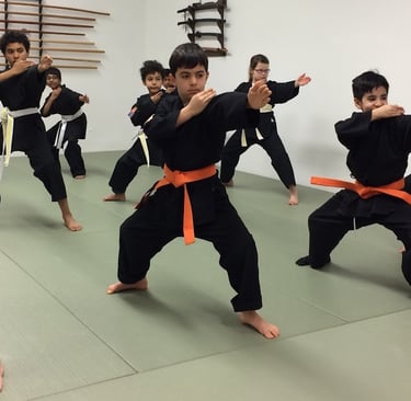 kids martial arts