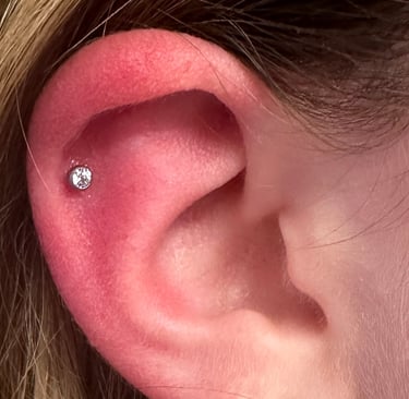 Stylish double helix piercing with premium titanium jewellery