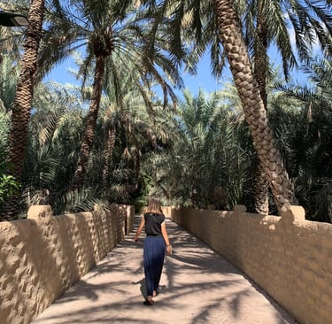 Oasi di Al Ain, Abu Dhabi