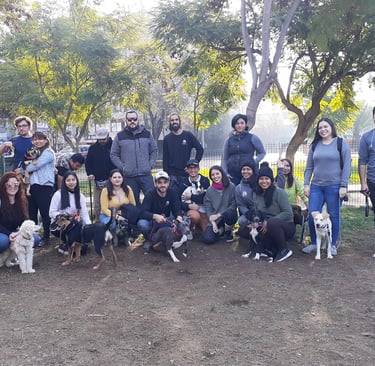 grupo socialización Santiago
