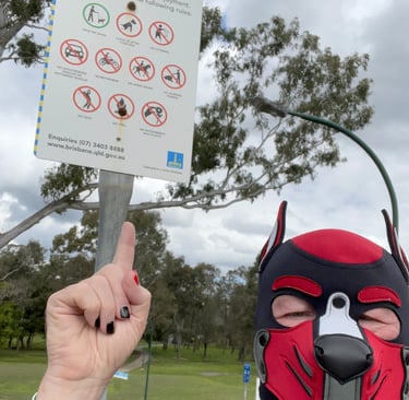 A man in the park wearing a pup mask.